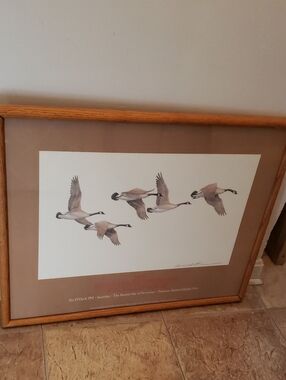 Framed 1985 Ducks Unlimited Dinner Canada Geese Wall Art - Neutral Tones